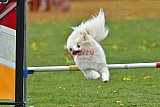 wedstrijd apeldoorn 18-04-2026