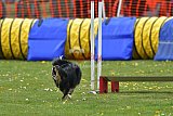 wedstrijd apeldoorn 18-04-2026