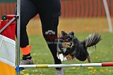 wedstrijd apeldoorn 18-04-2026