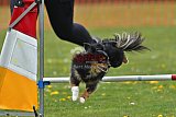 wedstrijd apeldoorn 18-04-2026