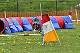 wedstrijd apeldoorn 18-04-2026