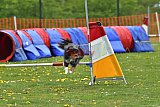 wedstrijd apeldoorn 18-04-2026