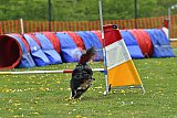 wedstrijd apeldoorn 18-04-2026