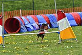 wedstrijd apeldoorn 18-04-2026