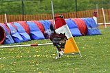 wedstrijd apeldoorn 18-04-2026