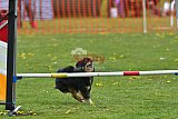 wedstrijd apeldoorn 18-04-2026