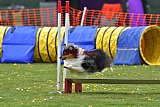 wedstrijd apeldoorn 18-04-2026