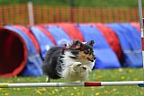 wedstrijd apeldoorn 18-04-2026