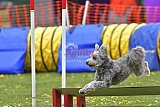 wedstrijd apeldoorn 18-04-2026