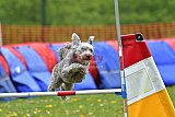 wedstrijd apeldoorn 18-04-2026