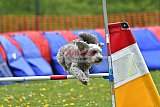 wedstrijd apeldoorn 18-04-2026