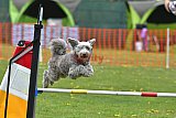 wedstrijd apeldoorn 18-04-2026