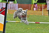 wedstrijd apeldoorn 18-04-2026