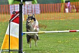 wedstrijd apeldoorn 18-04-2026