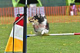 wedstrijd apeldoorn 18-04-2026