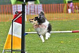 wedstrijd apeldoorn 18-04-2026