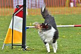 wedstrijd apeldoorn 18-04-2026