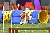 wedstrijd apeldoorn 18-04-2026