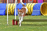 wedstrijd apeldoorn 18-04-2026