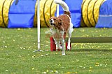wedstrijd apeldoorn 18-04-2026
