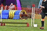 wedstrijd apeldoorn 18-04-2026