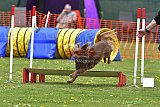 wedstrijd apeldoorn 18-04-2026