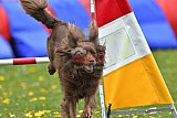 wedstrijd apeldoorn 18-04-2026