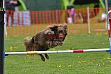 wedstrijd apeldoorn 18-04-2026