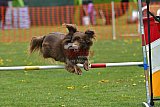wedstrijd apeldoorn 18-04-2026
