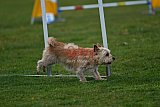 wedstrijd apeldoorn 18-04-2026