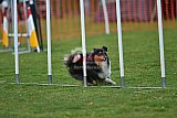 wedstrijd apeldoorn 18-04-2026