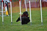 wedstrijd apeldoorn 18-04-2026