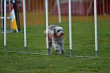 wedstrijd apeldoorn 18-04-2026