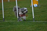 wedstrijd apeldoorn 18-04-2026