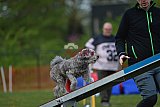 wedstrijd apeldoorn 18-04-2026