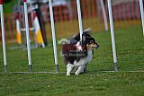 wedstrijd apeldoorn 18-04-2026