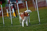 wedstrijd apeldoorn 18-04-2026