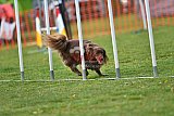 wedstrijd apeldoorn 18-04-2026