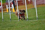 wedstrijd apeldoorn 18-04-2026