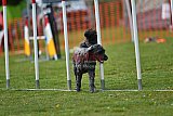 wedstrijd apeldoorn 18-04-2026