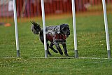 wedstrijd apeldoorn 18-04-2026