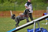 wedstrijd apeldoorn 18-04-2026