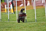 wedstrijd apeldoorn 18-04-2026