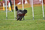 wedstrijd apeldoorn 18-04-2026