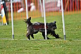 wedstrijd apeldoorn 18-04-2026