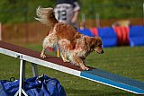 wedstrijd apeldoorn 18-04-2026