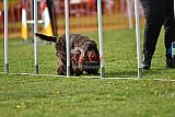 wedstrijd apeldoorn 18-04-2026