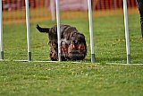wedstrijd apeldoorn 18-04-2026