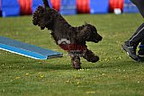 wedstrijd apeldoorn 18-04-2026