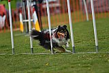 wedstrijd apeldoorn 18-04-2026